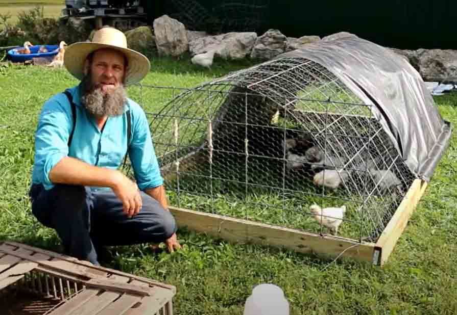 How To Build a Chicken Coop For $50