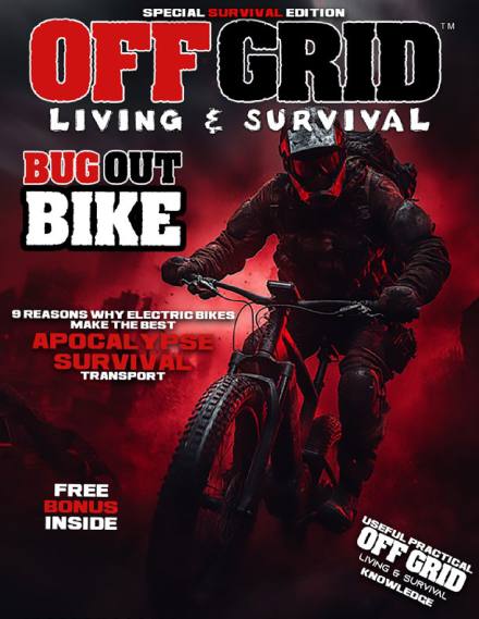 E-Bike Survival — cover